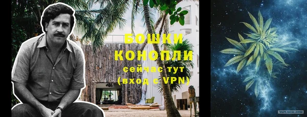 хмурый Мегион