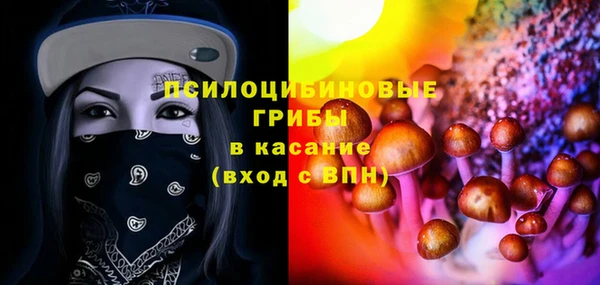 хмурый Мегион