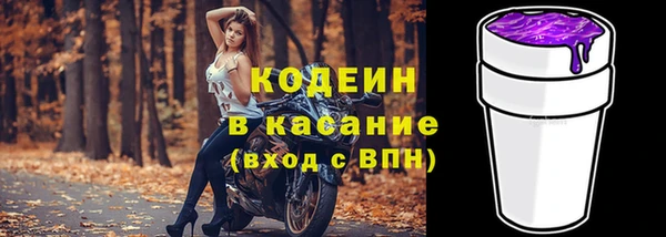 хмурый Мегион
